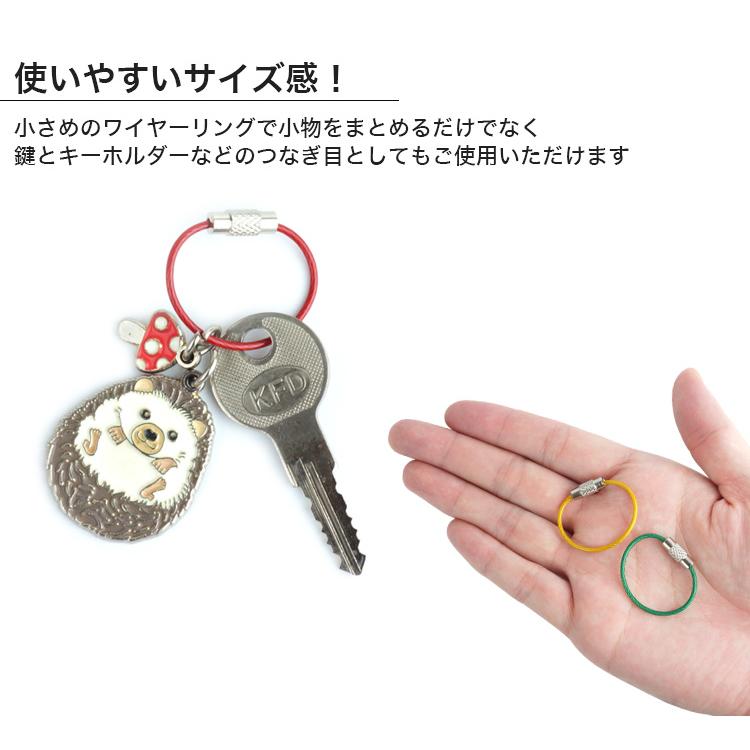 ワイヤーキーリング キーチェーン キーホルダーロックワイヤー ステンレス カラフル アクセサリー 8cm 1.5mm 単品 - 画像 (3)